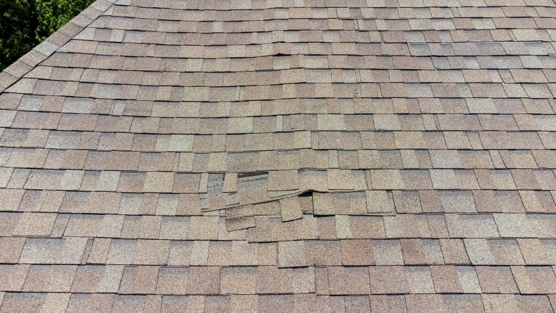 Asphalt Roof Inspection in Alpine, NJ