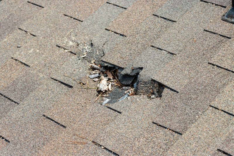 Asphalt Roof Replacement in Irvington, NY